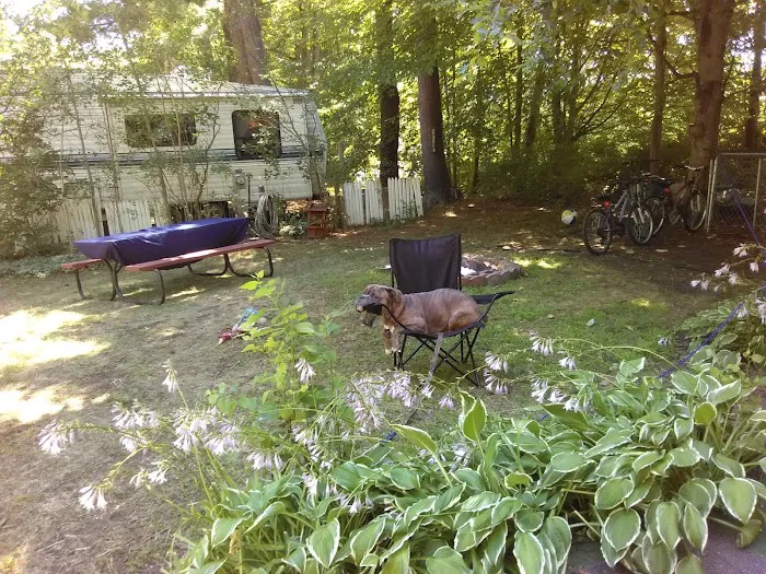 Camper's Paradise (Permanently Closed) Picture 8