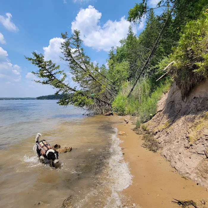 Big Bend Park Picture 4
