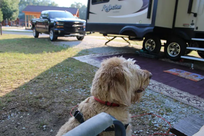 Sandy Beach County Park Picture 9