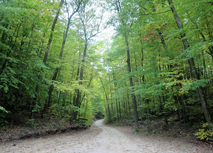 Sportsman Park Campground & Boat Slips Picture 4