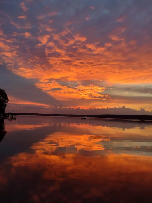 Sportsman Park Campground & Boat Slips Picture 10