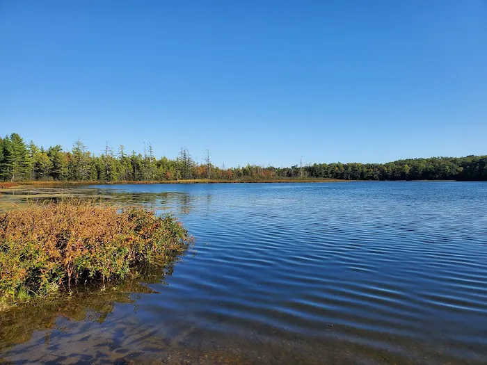 Twinwood Lake Campground Picture 2