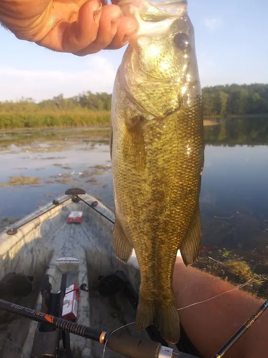 Twinwood Lake Campground Picture 1