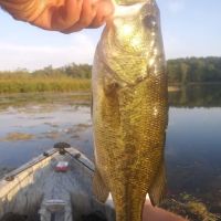 Twinwood Lake Campground ico