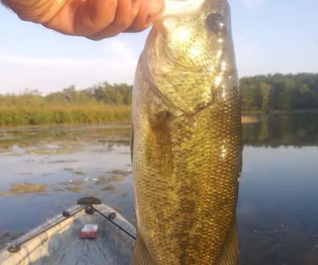 Twinwood Lake Campground