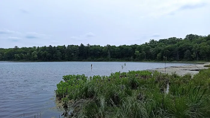 Twinwood Lake Campground Picture 3