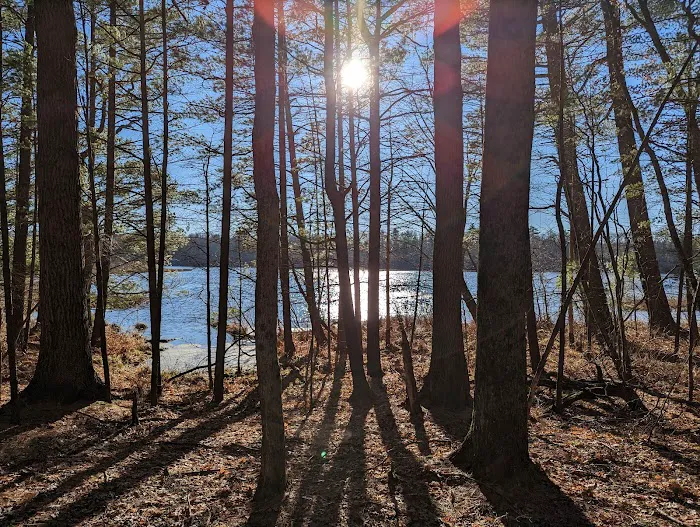 Twinwood Lake Campground Picture 4