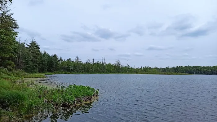 Twinwood Lake Campground Picture 8