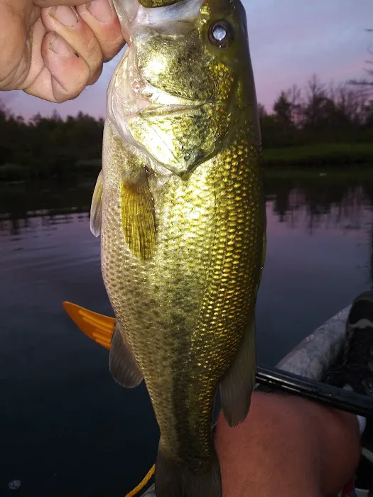 Twinwood Lake Campground Picture 7