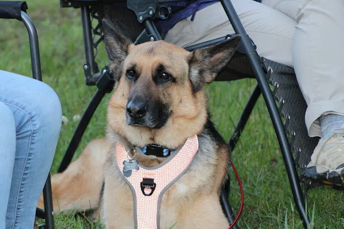 White Cloud County Park Picture 9