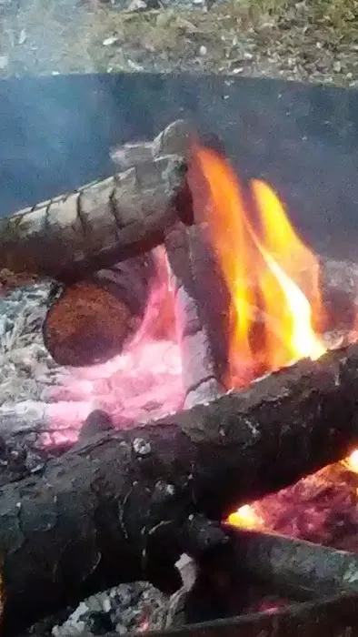 MUSKEGON RIVER CAMPGROUND Picture 8