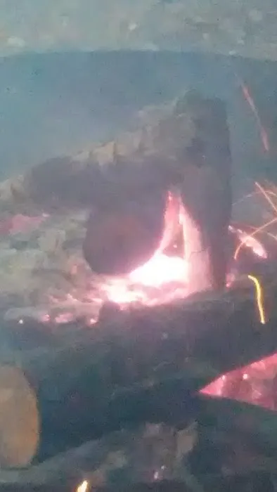 MUSKEGON RIVER CAMPGROUND Picture 10