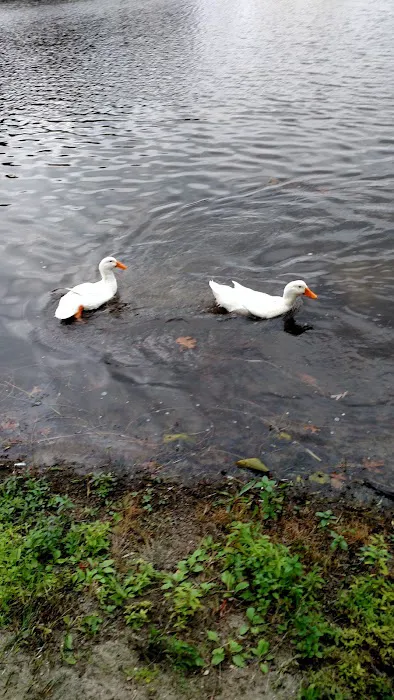 Wolf Lake Resort & Campground Picture 8