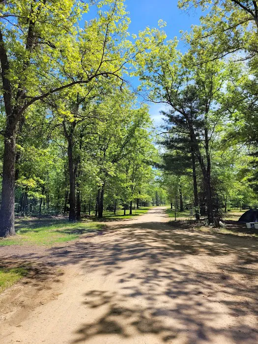 PV's Campground and Resort Picture 8