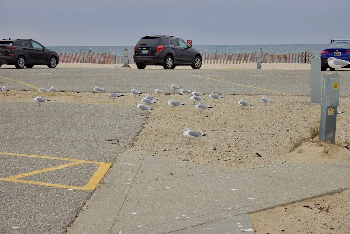 Grand Haven State Park Campground Parking Lot Picture 5