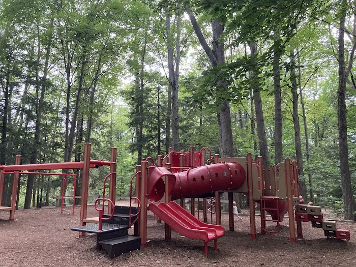 P. J. Hoffmaster Campground Picture 3