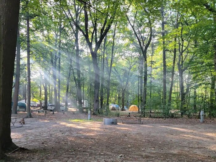 P. J. Hoffmaster Campground Picture 4