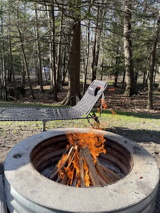 P. J. Hoffmaster Campground Picture 7