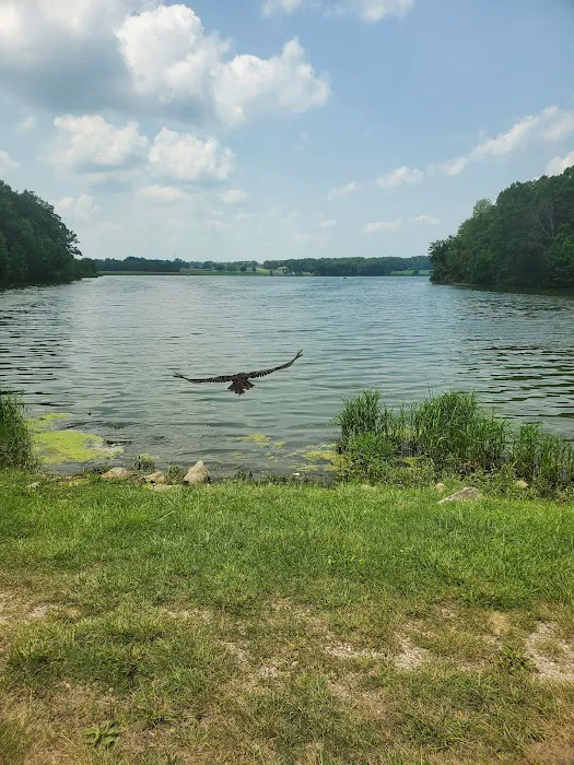 Lake Waveland Picture 3