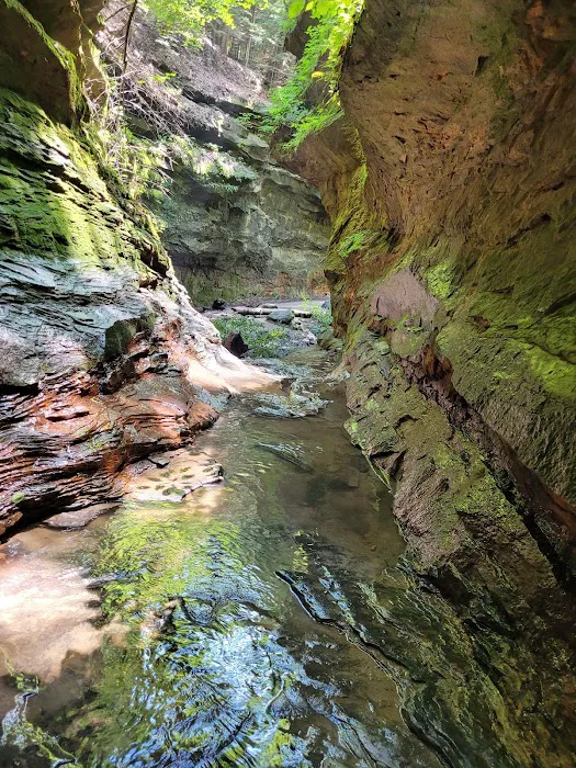 Turkey Run State Park Campground Picture 1