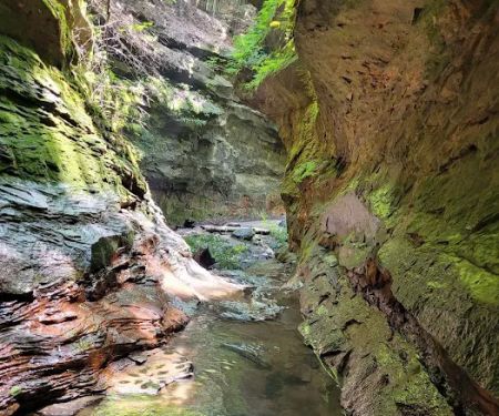 Turkey Run State Park Campground