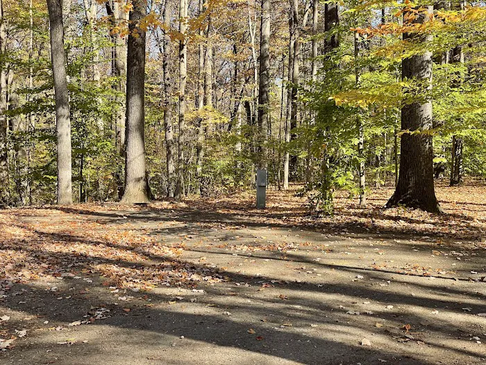 Turkey Run State Park Campground Picture 4