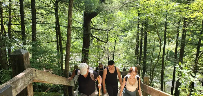 Turkey Run State Park Campground Picture 7