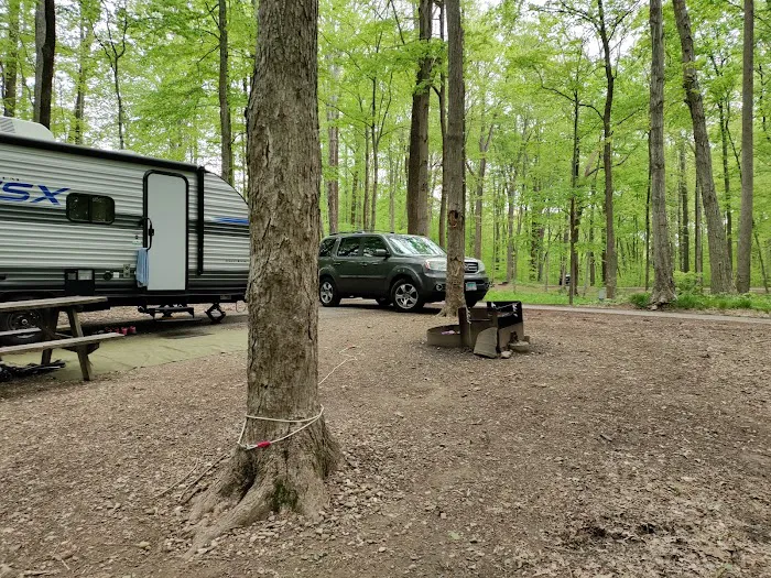 Turkey Run State Park Campground Picture 8