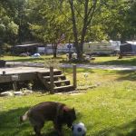 Xandermite Enterprises Inc