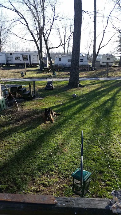 Xandermite Enterprises Inc Picture 2