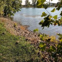 Caboose Lake Campground ico