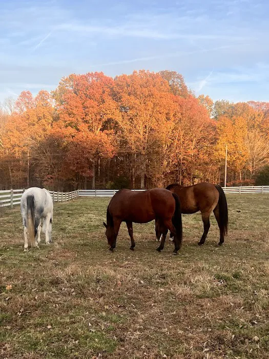 SILVER FEATHER ACRES Picture 6