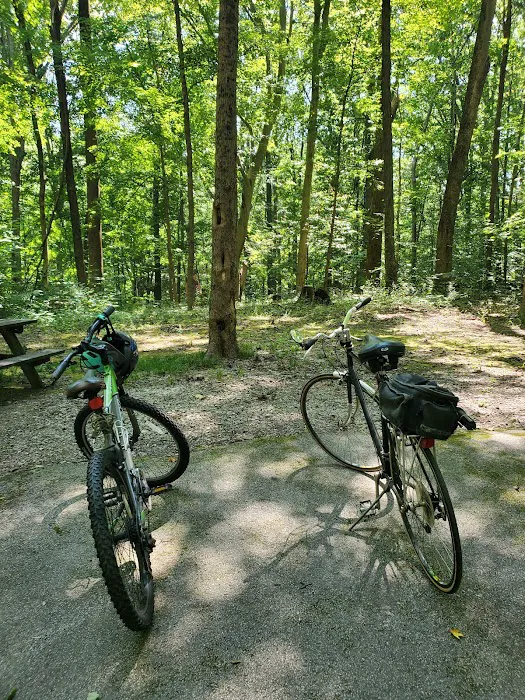 Poplar Grove Campground Picture 1