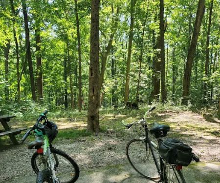 Poplar Grove Campground