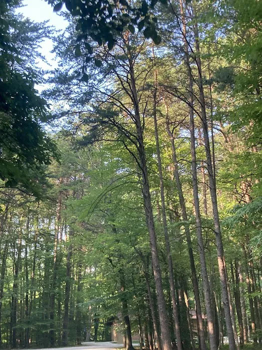 Poplar Grove Campground Picture 4