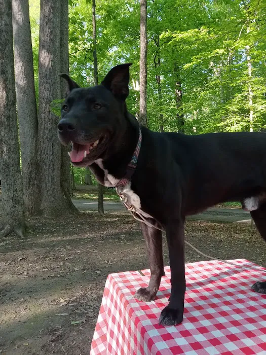 Poplar Grove Campground Picture 5