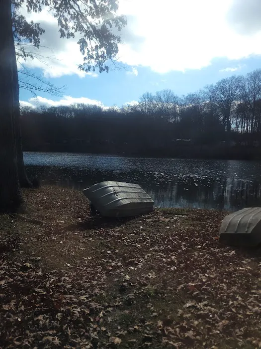 Dogwood Springs Campground Picture 1