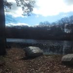 Dogwood Springs Campground