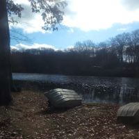 Dogwood Springs Campground ico