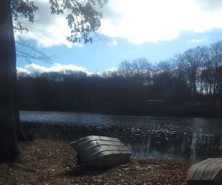 Dogwood Springs Campground