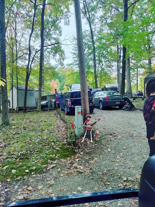 Dogwood Springs Campground Picture 4