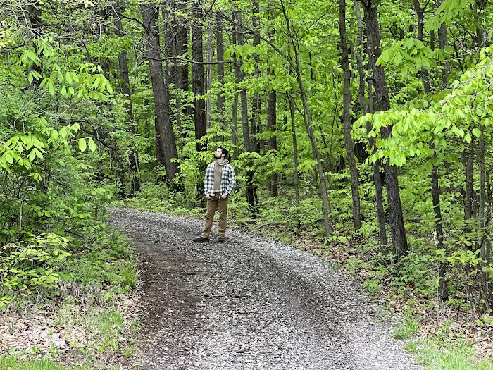 Dogwood Springs Campground Picture 6