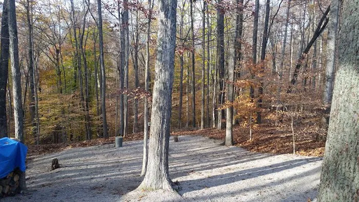 Jami Lou Seasonal RV Campground Picture 1