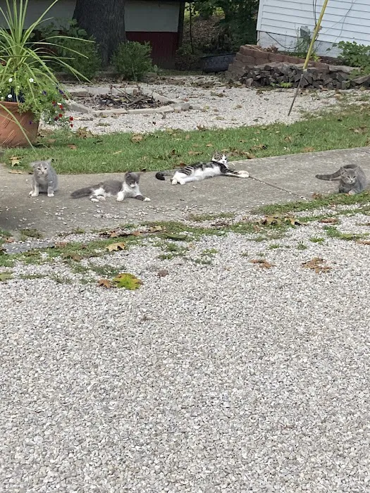 Jami Lou Seasonal RV Campground Picture 4