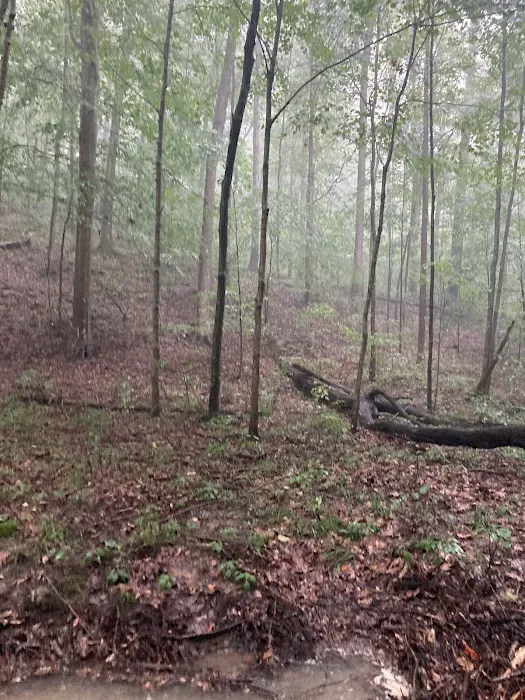 Jami Lou Seasonal RV Campground Picture 5