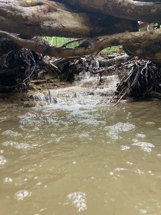 Jami Lou Seasonal RV Campground Picture 6