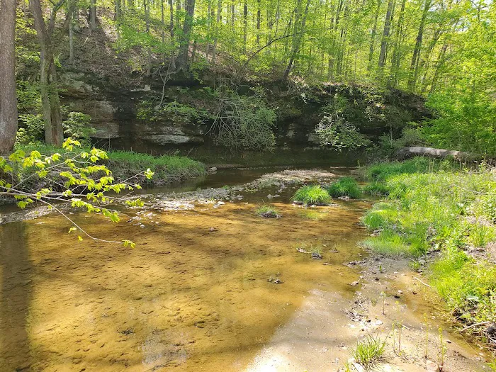 Fallen Rock RV Parke & Campground Picture 4