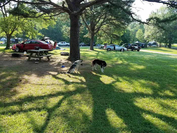 Paynetown Campground Picture 5