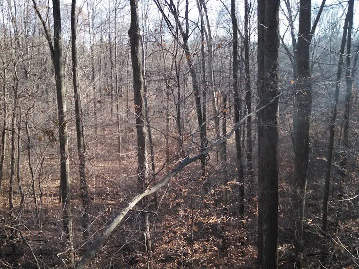 Horseman's Campground Picture 1