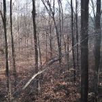 Horseman's Campground